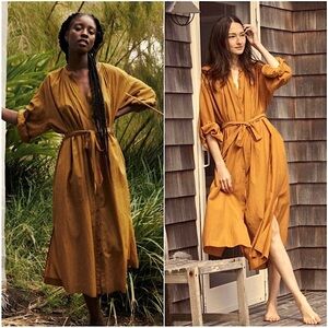 DOEN Organic Cotton Puff Long Sleeve Button Front Joan Midi Dress in Foxtail M